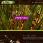 ActivFit website